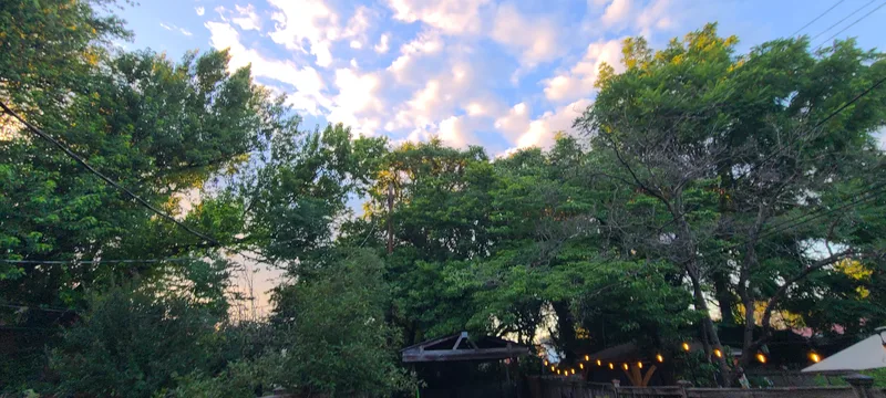 Tree-lined back yard. Blue sky with pink-tinged white clouds. String lights along the fence