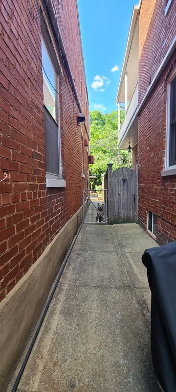 Sidewalk down side of house, with very cute puppy sitting behind the gate. 