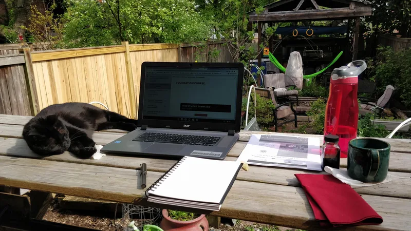 Laptop, black cat, table overlooking backyard garden